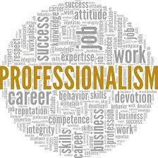 Wortwolke mit „Professionalisierung“ in der Mitte und Begriffen zu Beruf und Erfolg.
